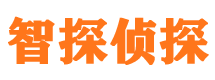 高县市侦探